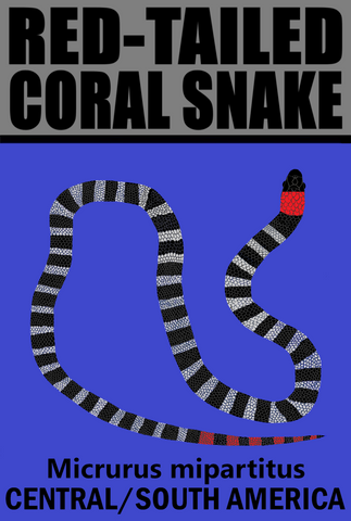 RTC SNAKE V2 M