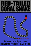 RTC SNAKE V2 T