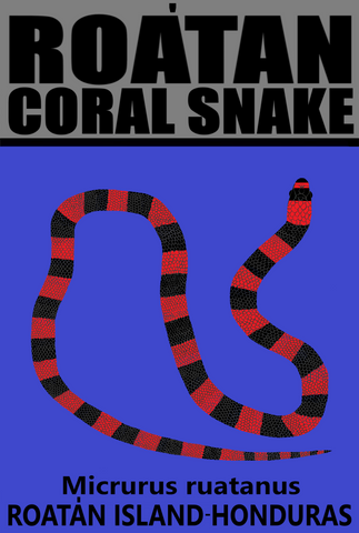 ROAC SNAKE V2 T