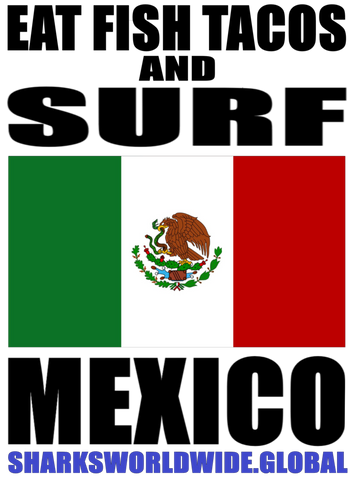 EFTS MEX V1 T