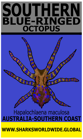 SBR OCTOPUS V2 M