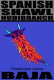 NU SPS M