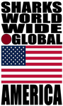 SHDG USA V1 TW