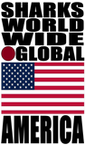 SHDG USA V1 TW