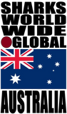 SHDG AUST V1 S