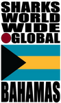 SHDG BAH V1 H