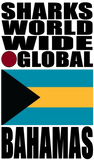 SHDG BAH V1 M