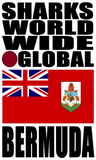 SHDG BER V1  H