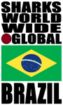 SHDG BRA V1 B