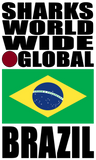 SHDG BRA V1 B