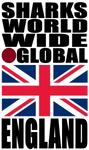 SHDG ENG V1 H