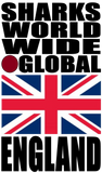 SHDG ENG V1 C T