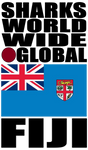 SHDG FIJI V1 B