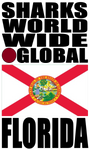 SHDG FL V1 H