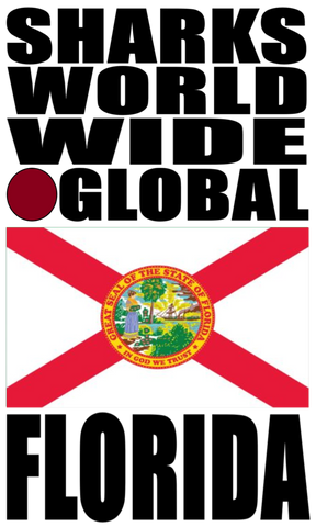 SHDG FL V1 H