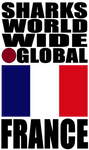 SHDG FRA V1 C T