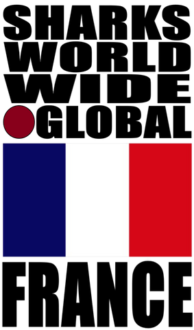 SHDG FRA V1 C T
