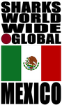 SHDG MEX V1 S