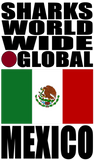 SHDG MEX V1 S