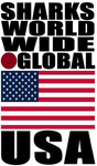 SHDG USA V1 MT