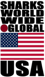 SHDG USA V1 MT