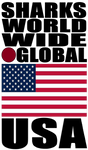 SHDG USA V1 M