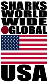 SHDG USA V1 BB