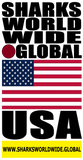 SHDG USA V2 C T
