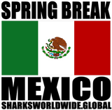 SBK MEX V1 M