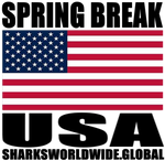 SBK USA V1 T