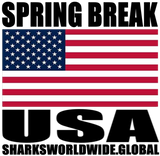 SBK USA V1 T