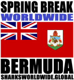 SBKWW BER V1 M
