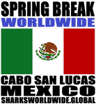 SBKWW CSL MEX V1 T