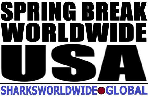 LOGOSB WW USA T