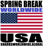 SBKWW USA V1 M