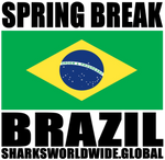 SBK BRA V1 T