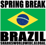 SBK BRA V1 T