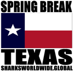 SBK TX V1 T