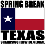 SBK TX V1 T