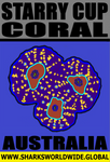 CORALS STARRY V3 T