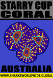CORALS STARRY V3 M