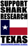 SUSRES TX V4 T