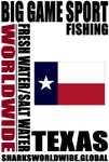 BGSF TX V2 S