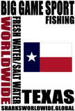 BGSF TX V2 S