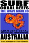 SFCR TWM ACAN 2 T