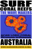 SFCR TWM ACAN 2 T