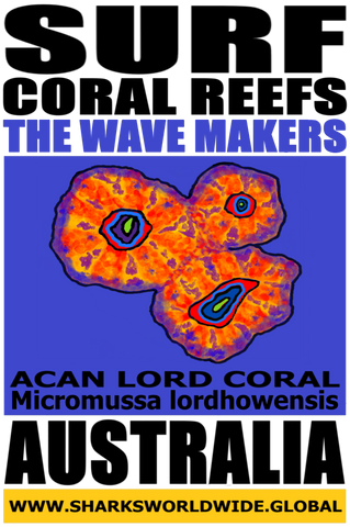 SFCR TWM ACAN 2 T