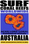 SFCRWW ACAN V2 T