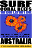 SFCRWW ACAN V2 T