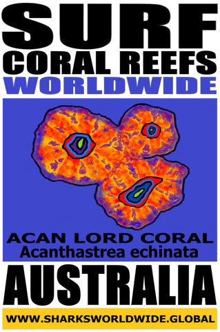 SFCRWW ACAN V2 M